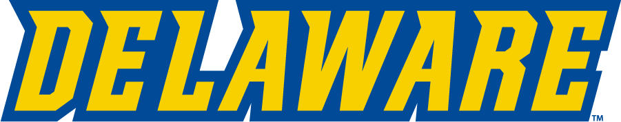 Delaware Blue Hens 2016-2018 Wordmark Logo t shirts iron on transfers